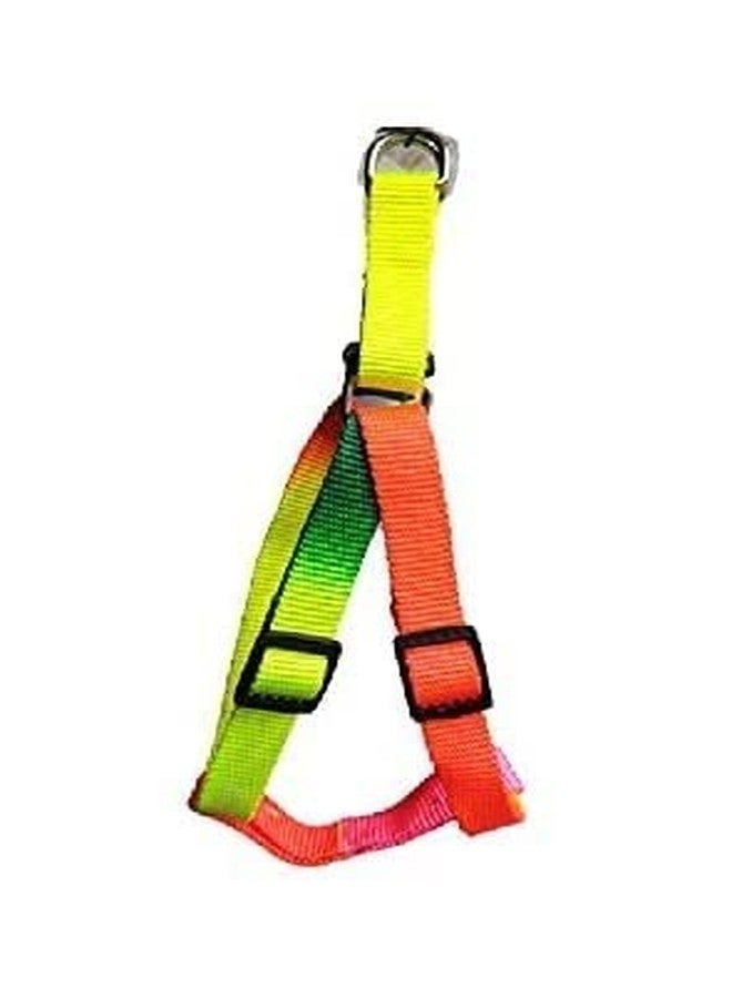 Smart Pups Colourful Adjustable Nylon Puppy Leash Harness and Collar Combo, Suitable for Puppy 15 mm Multicolor (Collar + Harness + Leash) (1 Pack 3 Pcs) - Image 4